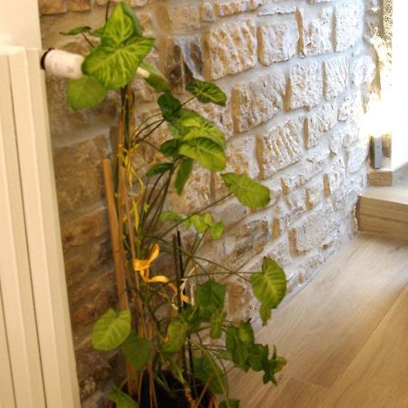 Bed and Breakfast Il Casale Del Borgo Cancellara Экстерьер фото
